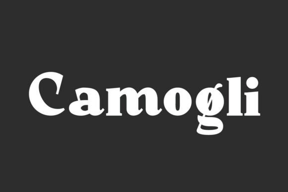 Camogli Typeface for Modern Web Design